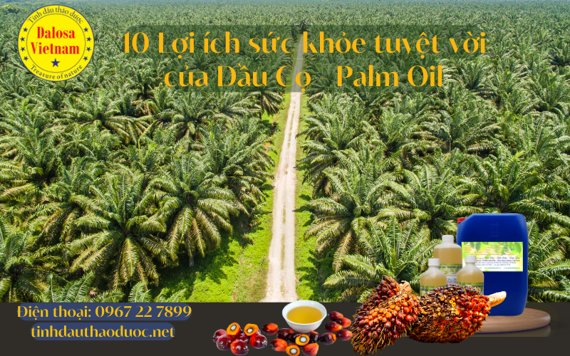 10-loi-ich-tuyet-voi-cua-dau-co-palm-oil