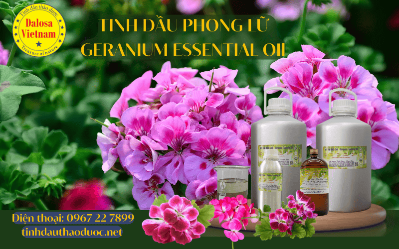 11-loi-ich-cua-tinh-dau-phong-lu-geranium-essential-oil_2