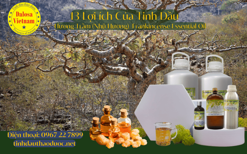 13-loi-ich-cho-suc-khoe-cua-tinh-dau-huong-tram-frankincense-essential-oil