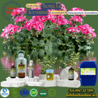 tinh-dau-phong-lu-geranium-essential-oil-1-lit - ảnh nhỏ  1