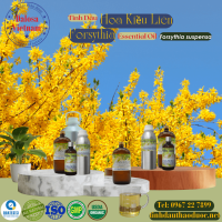 tinh-dau-hoa-lien-kieu-forsythia-essential-oil-1-lit - ảnh nhỏ  1
