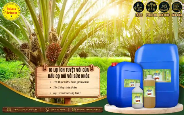 10 Lợi Ích Tuyệt Vời Của Dầu Cọ Đối Với Sức Khoẻ 1 10 lợi ích tuyệt vời của dầu cọ đối với sức khỏe