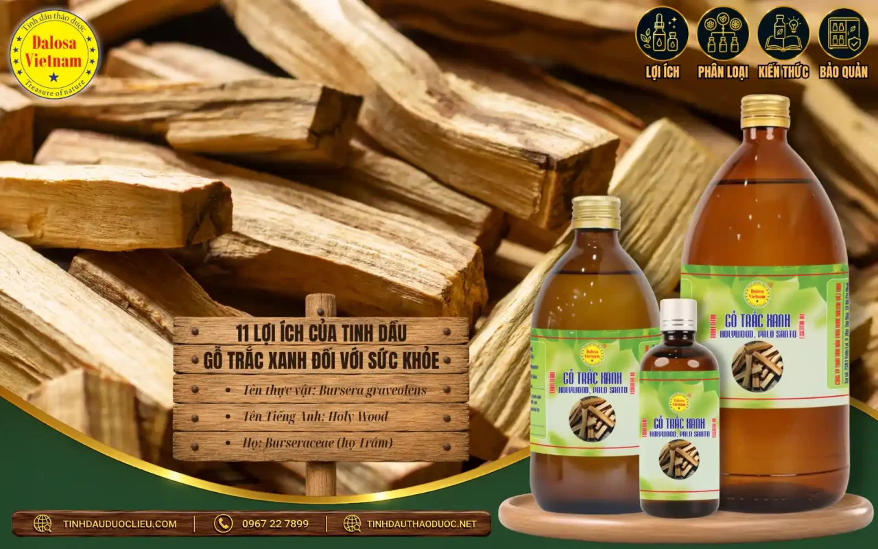 11 Lợi Ích Của Tinh Dầu Gỗ Trắc Xanh Đối Với Sức Khỏe