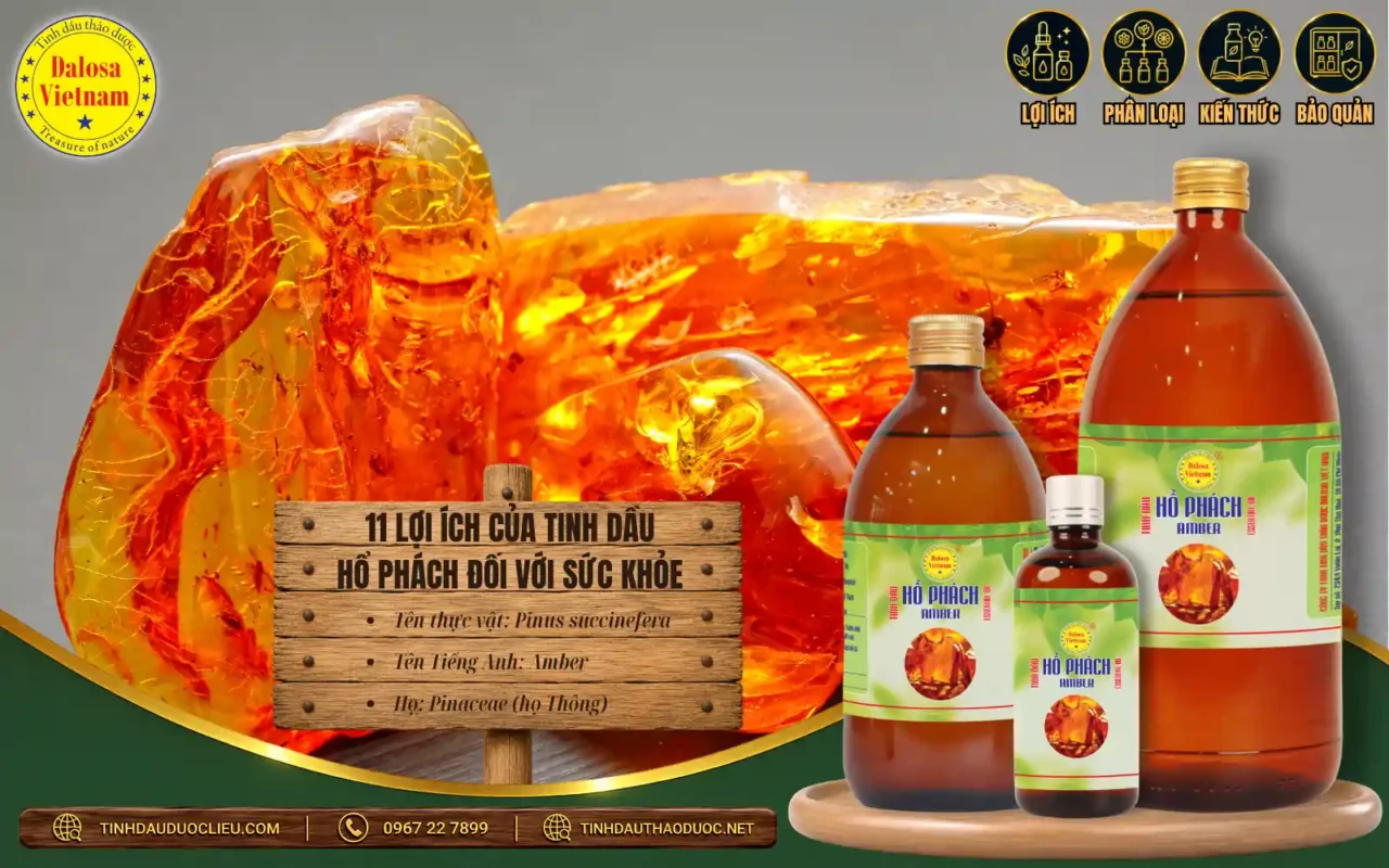 11 Lợi Ích Của Tinh Dầu Hổ Phách Đối Với Sức Khỏe 