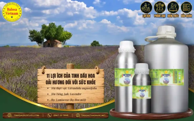 11 lợi ích của tinh dầu hoa oải hương đối với sức khỏe 