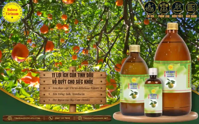 11 lợi ích của tinh dầu vỏ quýt cho sức khỏe 