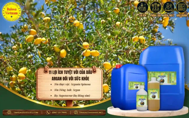 11 lợi ích tuyệt vời của dầu Argan đối với sức khỏe 