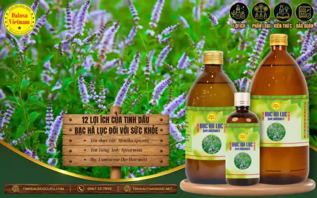 12 lợi ích của tinh dầu bạc hà lục đối với sức khỏe 