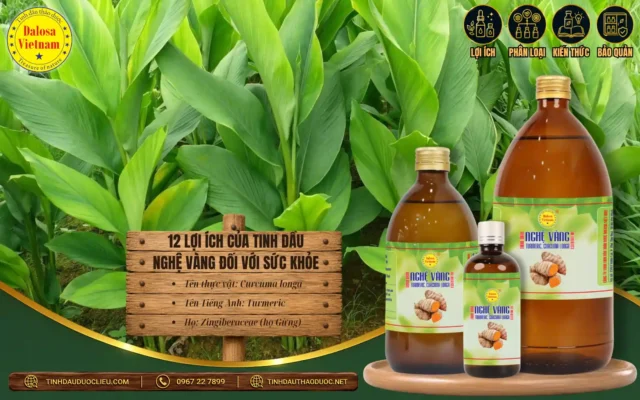 12 Lợi Ích Của Tinh Dầu Nghệ Vàng Đối Với Sức Khoẻ 1 12 lợi ích của tinh dầu nghệ vàng đối với sức khỏe
