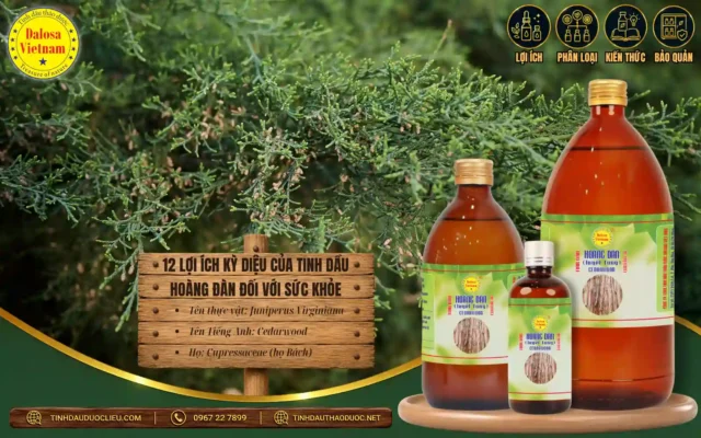 12 lợi ích kỳ diệu của tinh dầu hoàng đàn đối với sức khỏe 