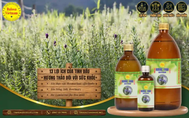 13 lợi ích của tinh dầu hương thảo đối với sức khỏe 