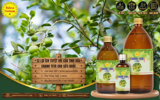 13 lợi ích của tinh dầu chanh cho sức khỏe 