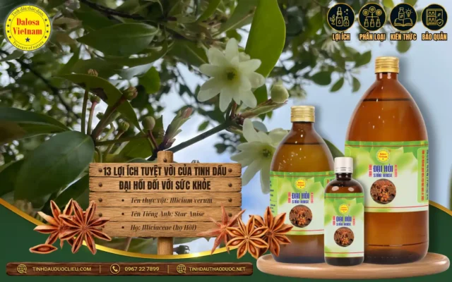 13 lợi ích tuyệt vời của tinh dầu đại hồi đối với sức khỏe 