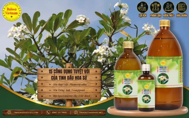 15 Công dụng tuyệt vời của Tinh Dầu Hoa Sứ 1 15-cong-dung-tuyet-voi-cua-tinh-dau-hoa-su