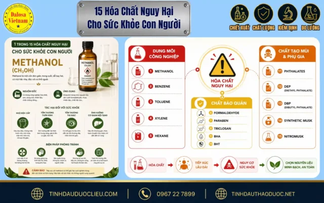 15 Hóa Chất Nguy Hại Cho Sức Khỏe Con Người 1 Sơ đồ đồ họa cảnh báo về 15 hóa chất nguy hại cho sức khỏe con người thường gặp đặt cạnh chai sản phẩm tinh dầu của Dalosa