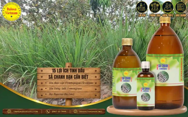 15 Lợi Ích Tinh Dầu Sả Chanh Bạn Cần Biết 1 15 lợi ích tuyệt vơi của tinh dầu sả chanh mà bạn phải biết