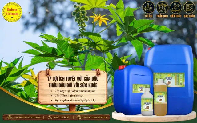 15 Lợi Ích Tuyệt Vời Của Dầu Thầu Dầu Đối Với Sức Khoẻ 1 15 lợi ích tuyệt vời của dầu thầu dầu đối với sức khỏe