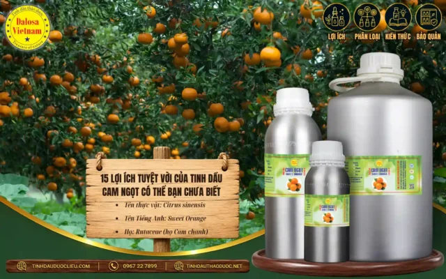 15 Lợi Ích Tuyệt Vời Của Tinh Dầu Cam Ngọt