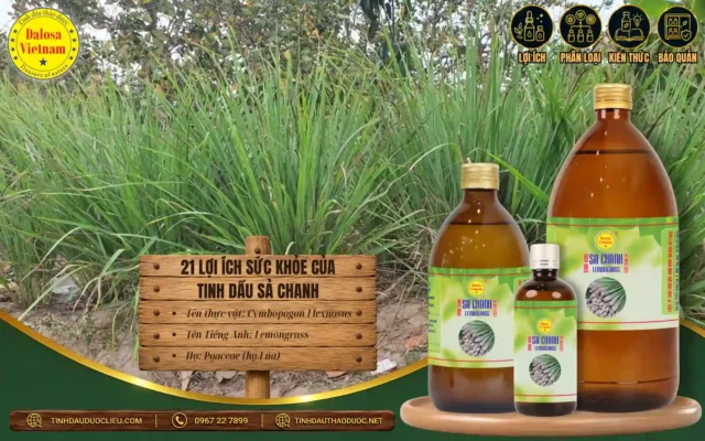 21 lợi ích sức khỏe của tinh dầu sả chanh
