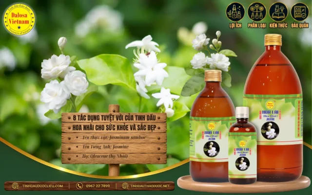 8 Tác Dụng Tuyệt Vời Của Tinh Dầu Hoa Nhài Cho Sức Khỏe Và Sắc Đẹp 1 8 tác dụng tuyệt vời của tinh dầu hoa nhài cho sức khỏe