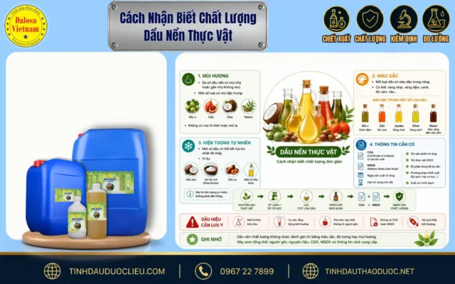 Cách Nhận Biết Chất Lượng Dầu Nền Thực Vật 1 Sơ đồ infographic hướng dẫn cách nhận biết chất lượng dầu nền thực vật đặt cạnh các mẫu can chứa và chai sản phẩm nguyên liệu của Dalosa