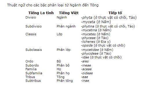 Danh Pháp Hai Phần Tên La Tinh Và Luật Danh Pháp Thực Vật