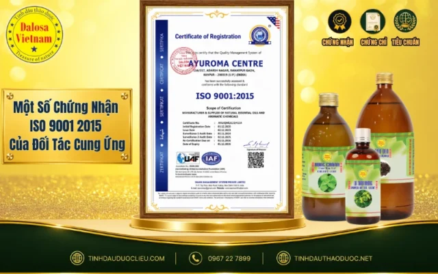 Chứng nhận iso 9001:2015 của đối tác cung ứng 