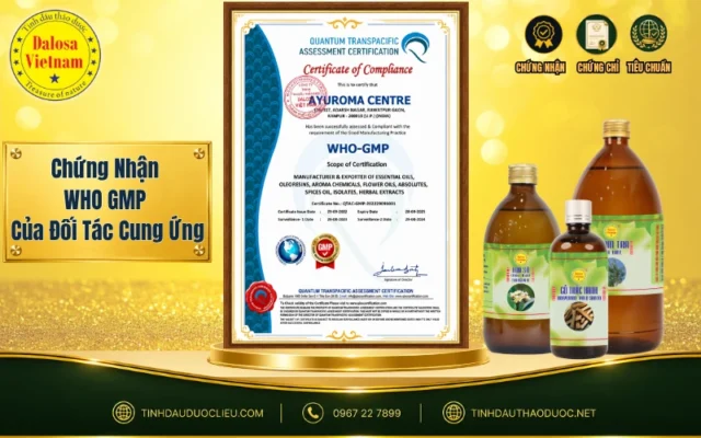 Chứng Nhận WHO GMP Của Đối Tác Cung Ứng Cho Dalosa Việt Nam 1 Chứng nhận WHO GMP của đối tác cung ứng
