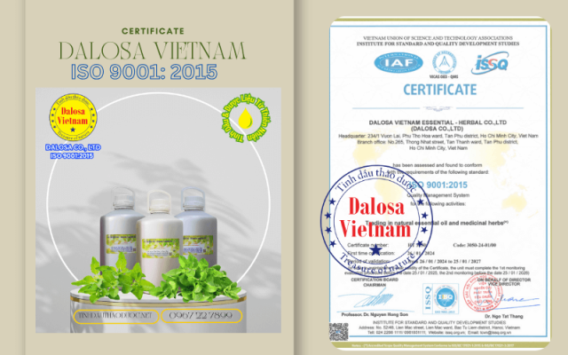 Một Số Chứng Nhận ISO 9001 2015 Của Đối Tác Cung Ứng Cho Dalosa Việt Nam