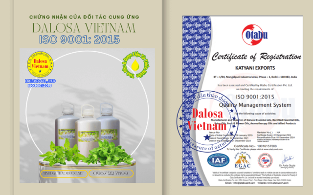 Một Số Chứng Nhận ISO 9001 2015 Của Đối Tác Cung Ứng Cho Dalosa Việt Nam