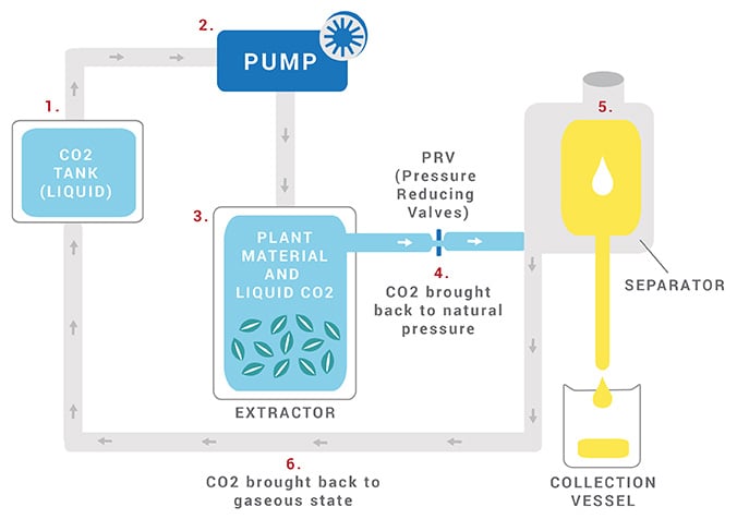 Chiết Xuất Tinh Dầu Bằng Công Nghệ CO2 Siêu Tới Hạn