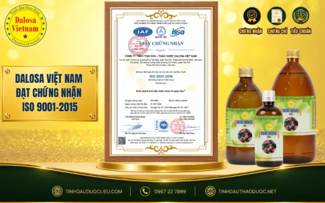 Dalosa Việt Nam đạt chứng nhận ISO 9001 2015