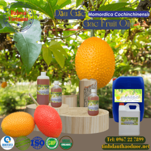 Dầu Gấc - Gac Fruit Oil 1 lít