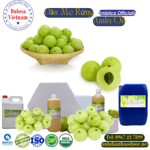 Dầu Hạt Me Rừng - Amla Carrier Oil 1 Lít