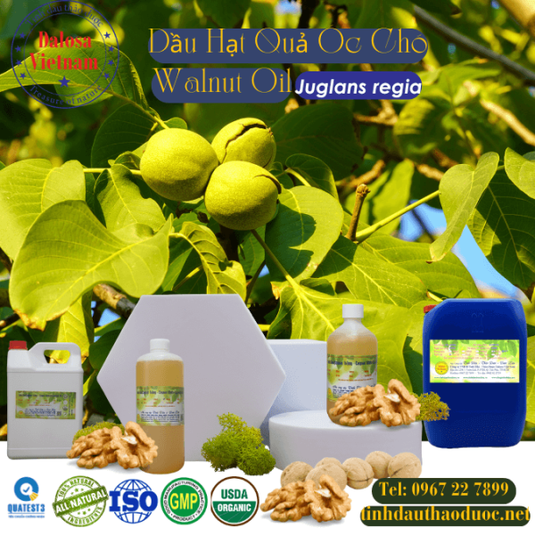 Dầu Hạt Óc Chó - Walnut Oil 1 Lít