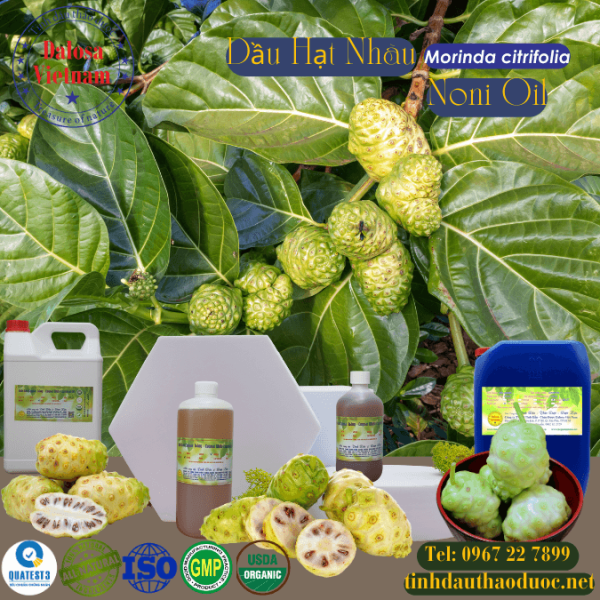 Dầu Hạt Trái Nhàu - Noni 1 lít