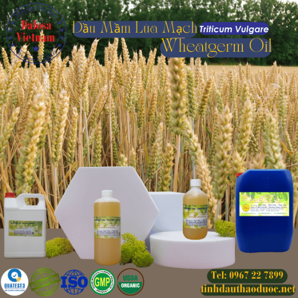 Dầu Mầm Lúa Mạch - Wheatgerm Oil 1 Lít