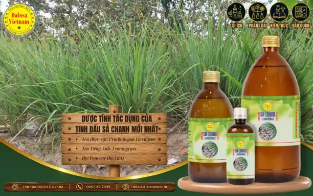 Tinh dầu sả chanh có nhiều dược tính tuyệt vời