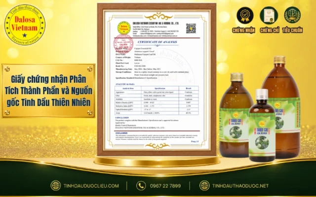 Đồ họa hiển thị giấy chứng nhận phân tích thành phần và nguồn gốc tinh dầu thiên nhiên đặt bên cạnh bộ sản phẩm tinh dầu Dalosa nguyên chất