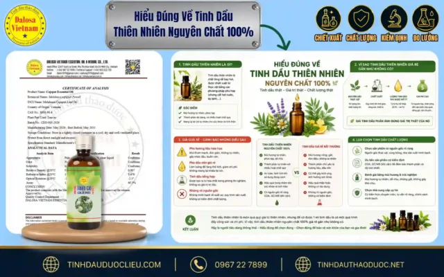 Hiểu Đúng Về Tinh Dầu Thiên Nhiên Nguyên Chất 100% 1 Sơ đồ đồ họa kiến thức tổng hợp giúp người dùng hiểu đúng về tinh dầu thiên nhiên nguyên chất bên cạnh chai sản phẩm Dalosa.
