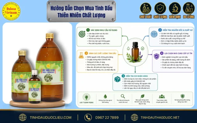 Sơ đồ đồ họa hướng dẫn chọn mua tinh dầu thiên nhiên chất lượng đặt cạnh bộ sản phẩm tinh dầu thiên nhiên Dalosa Việt Nam