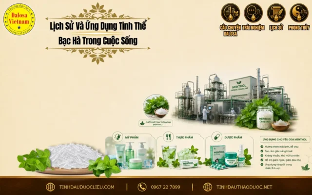 : Đồ họa bài viết nghiên cứu về lich su va ung dung tinh the bac ha trong doi song đặt bên cạnh hình ảnh tinh thể bạc hà trắng, lá bạc hà tươi và bộ sản phẩm Dalosa