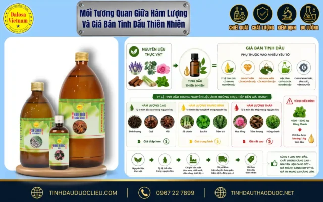 Mối Tương Quan Giữa Hàm Lượng Và Giá Bán Tinh Dầu Thiên Nhiên 1 Sơ đồ infographic phân tích mối tương quan giữa hàm lượng và giá bán tinh dầu thiên nhiên đặt cạnh bộ sản phẩm Dalosa