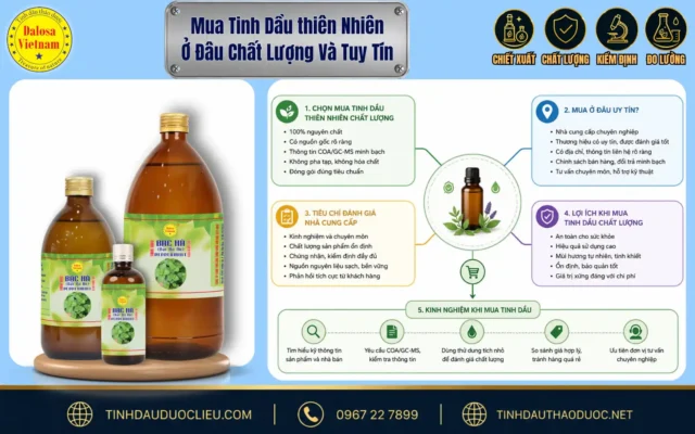 Sơ đồ đồ họa hướng dẫn người tiêu dùng lựa chọn mua tinh dầu thiên nhiên ở đâu chất lượng và uy tín đặt cạnh bộ sản phẩm Dalosa
