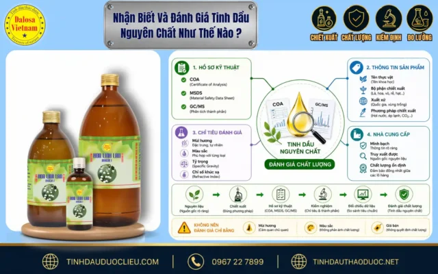 Nhận Biết Và Đánh Giá Tinh Dầu Nguyên Chất Như Thế Nào? 1 Sơ đồ infographic hướng dẫn cách nhận biết và đánh giá tinh dầu nguyên chất như thế nào đặt cạnh bộ sản phẩm Dalosa