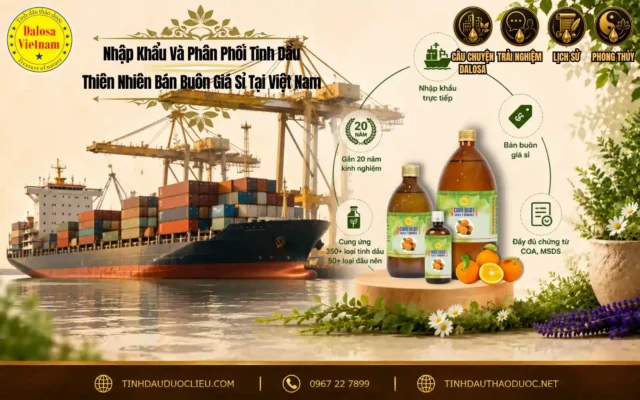 Đồ họa tư liệu tổng hợp về bi an cua huong thom kham pha nhung dieu chua tung biet đặt bên cạnh hình ảnh danh sách minh họa và chai sản phẩm tinh dầu Dalosa.