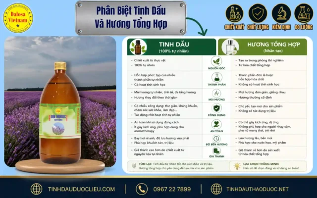 Phân Biệt Tinh Dầu Và Hương Tổng Hợp 1 Sơ đồ infographic so sánh đối chiếu giúp phân biệt tinh dầu và hương tổng hợp đặt bên cạnh cánh đồng hoa lavender và chai sản phẩm Dalosa.