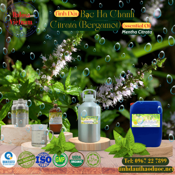 Tinh Dầu Bạc Hà Chanh - Citrata Essential Oil 1 Lít