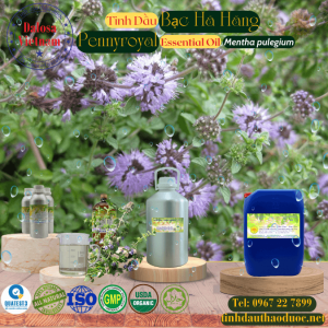 Tinh Dầu Bạc Hà Hăng - Pennyroyal Essential Oil 1 Lít