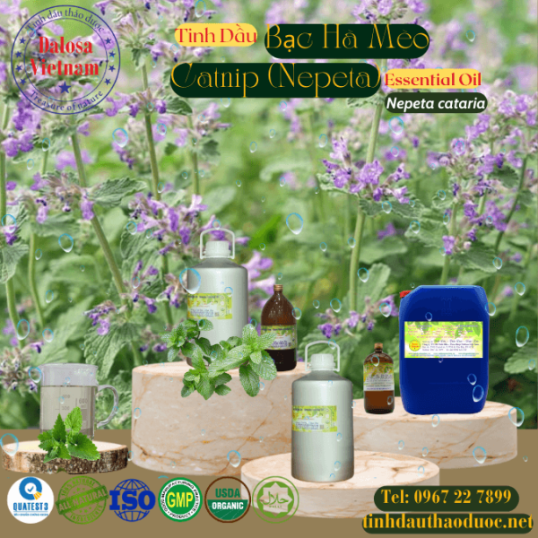 Tinh Dầu Bạc Hà Mèo - Catnip Essential Oil 1 Lít